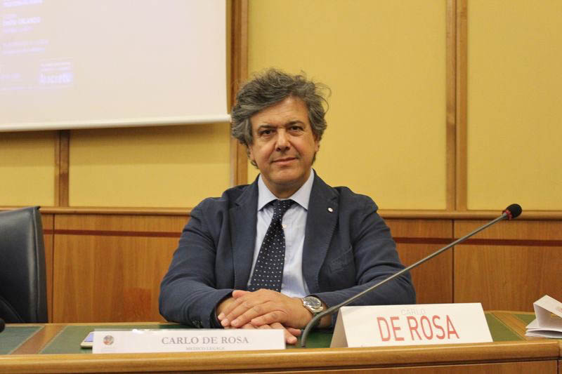 Carlo De Rosa Aracne editrice